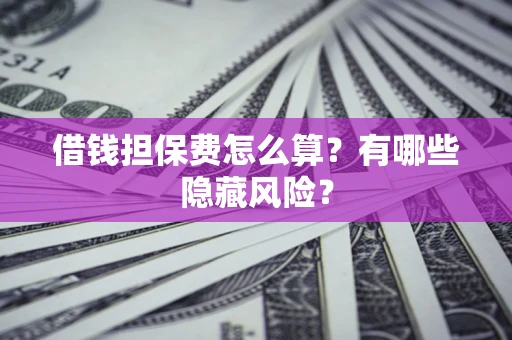武汉借钱担保费怎么算？有哪些隐藏风险？