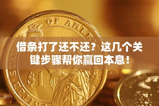 武汉借条打了还不还？这几个关键步骤帮你赢回本息！