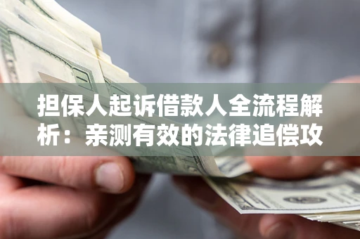 武汉担保人起诉借款人全流程解析：亲测有效的法律追偿攻略