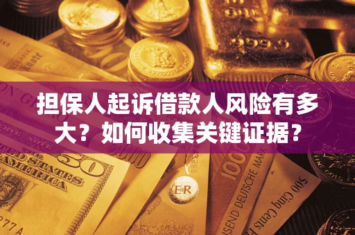 武汉担保人起诉借款人风险有多大？如何收集关键证据？