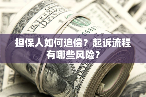 武汉担保人如何追偿？起诉流程有哪些风险？