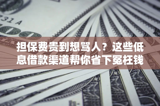 武汉担保费贵到想骂人？这些低息借款渠道帮你省下冤枉钱