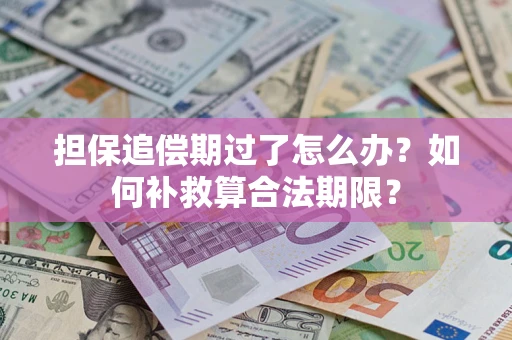 武汉担保追偿期过了怎么办？如何补救算合法期限？