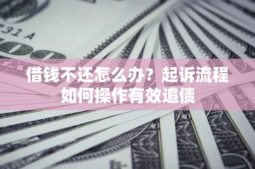 武汉借钱不还怎么办？起诉流程如何操作有效追债