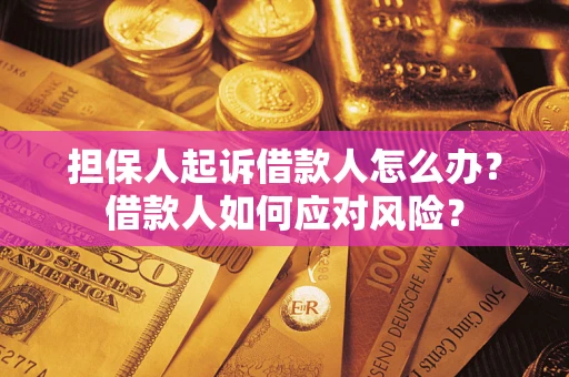 武汉担保人起诉借款人怎么办？借款人如何应对风险？
