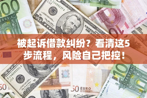 武汉被起诉借款纠纷？看清这5步流程，风险自己把控！