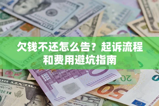 武汉欠钱不还怎么告？起诉流程和费用避坑指南
