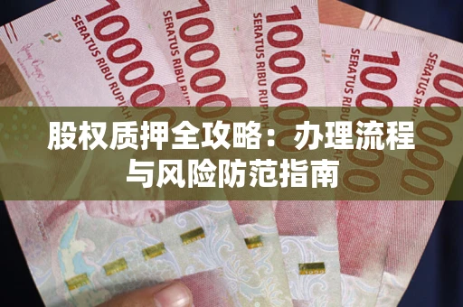 武汉股权质押全攻略：办理流程与风险防范指南