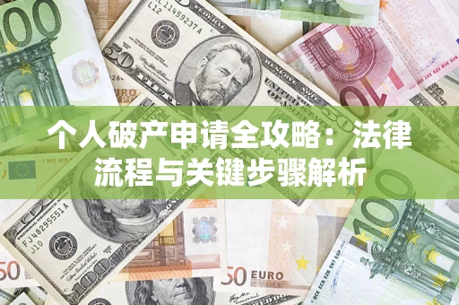 武汉个人破产申请全攻略：法律流程与关键步骤解析