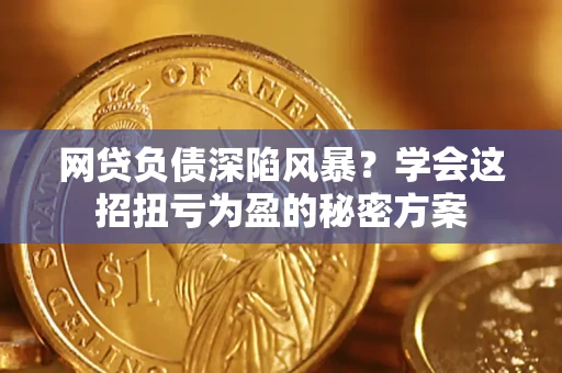 武汉网贷负债深陷风暴？学会这招扭亏为盈的秘密方案